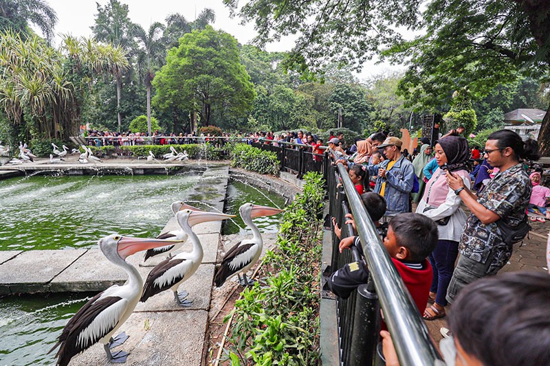 90.000 Orang Liburan di Taman Margasatwa Ragunan - Bagian 2