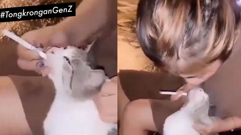 Viral Gadis Ini Sengaja Masukkan Asap Rokok ke Mulut Kucing, Netizen Ngamuk