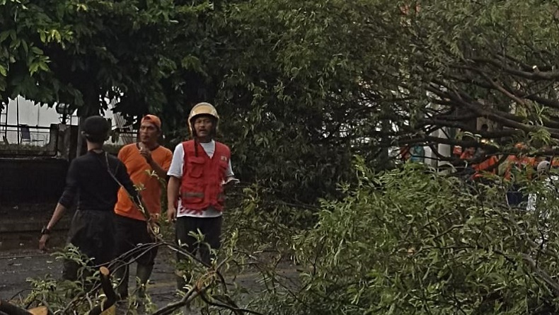 Pohon Tumbang di Jalur Rel, KA Bhatara Kresna Tertahan di Stasiun Solo Kota