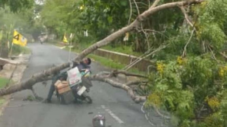 Puting Beliung Terjang Gunungkidul, Puluhan Bangunan Rusak, Ada Warga Terluka