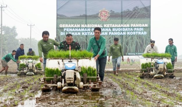 Dukung Program Ketahanan Pangan, Pangkostrad Tanam Padi Perdana di Subang