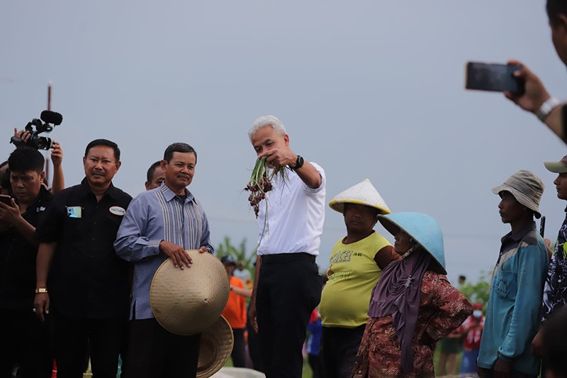 Dialog dengan Petani Bawang Merah di Brebes, Ganjar Catat 3 Keluhan Utama - Bagian 4