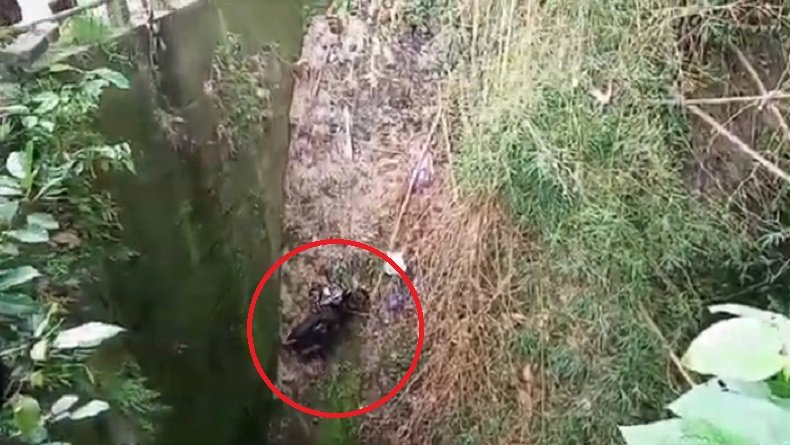 Geger ODGJ di Gianyar Buang Motor ke Jurang Sedalam 20 Meter