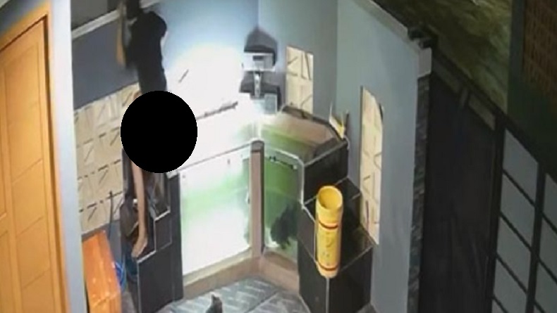 Viral Video Maling Tak Bercelana BAB lalu Cebok di Akuarium, Netizen: Lah Ninggalin Jejak