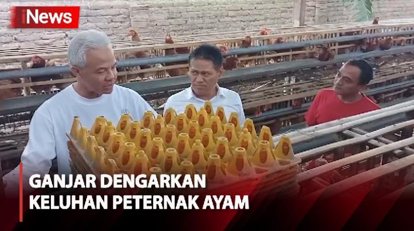 Berkunjung ke Magetan, Ganjar Dengarkan Keluhan Peternak Ayam Petelur