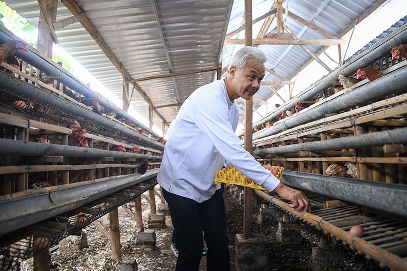 Ganjar Pranowo Akan Fasilitasi Peternak Ayam Buat Pakan Ternak Sendiri - Bagian 1