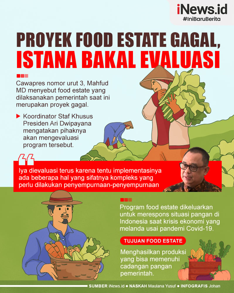 Infografis Proyek Food Estate Dinilai Gagal, Istana Bakal Evaluasi ...