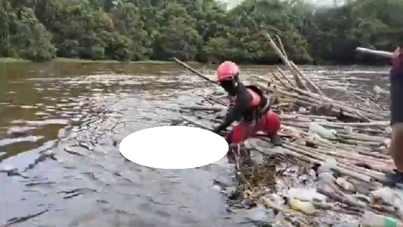 title Hilang saat Cari Ikan, Nelayan di Ketapang Ditemukan Tewas di Tumpukan Sampah Kayu Hilang saat Cari Ikan, Nelayan di Ketapang Ditemukan Tewas di Tumpukan Sampah Kayu