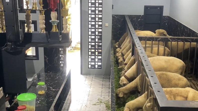 Warga Banjarnegara Habiskan Rp500 Juta Bangun Rumah Mewah untuk Kandang Domba