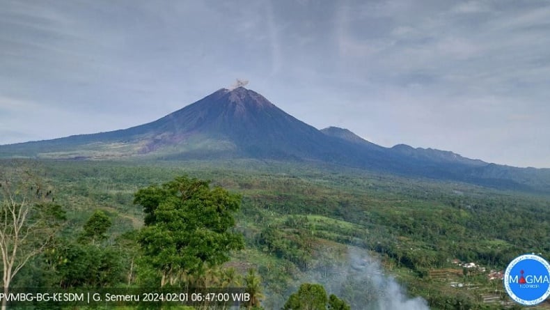 Gunung Semeru Erupsi Kamis Pagi Ini, Tinggi Kolom Abu 500 Meter Di Atas ...