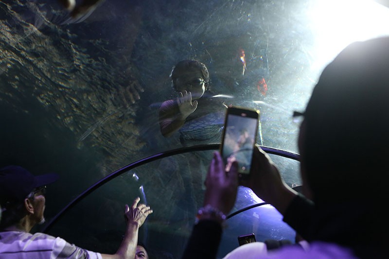 Aksi Barongsai di Dalam Akuarium Raksasa Meriahkan Hari Libur Imlek 2024 - Bagian 4