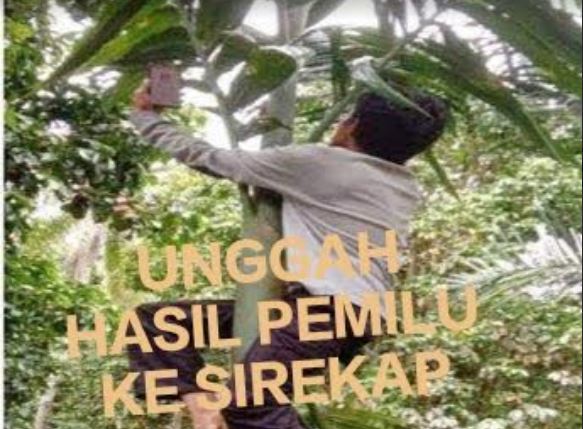 Perjuangan KPPS di NTT Unggah Hasil Pemilu, Cari Sinyal hingga Naik Meja dan Panjat Pohon