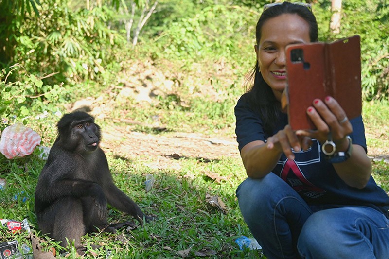 Perubahan Perilaku Kera Hitam, Kini Bergantung pada Manusia untuk Makan - Bagian 2