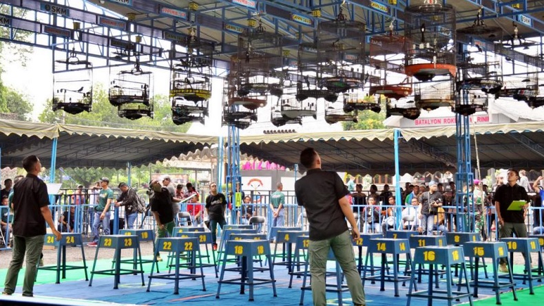 Buka Lomba Burung Kicau, Danpasmar 2: Selamat Datang di Kesatrian Marinir Sutedi Senaputra