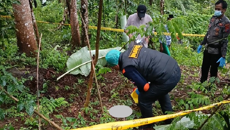 Geger Jasad Bayi Tak Utuh Ditemukan di Perkebunan Warga Pandeglang