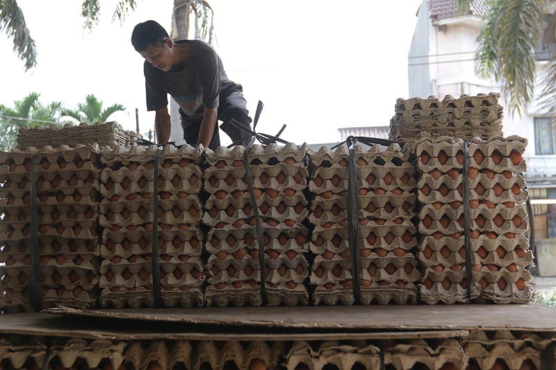 Harga Telur Ayam Melonjak hingga Rp31.000 per Kilogram - Bagian 2