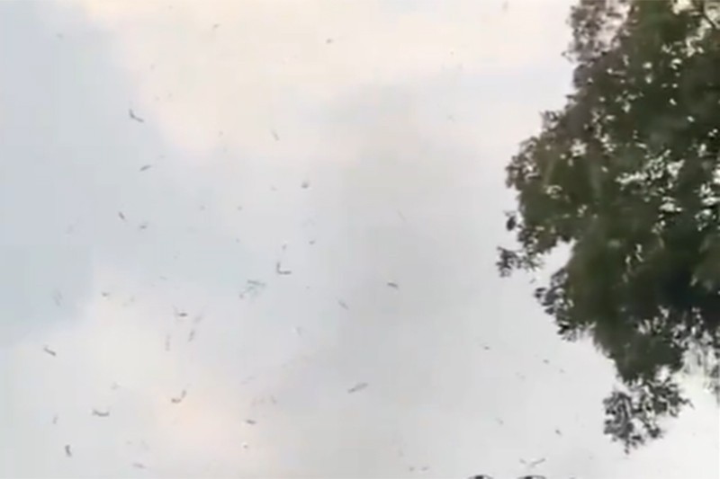 Begini Awal Terbentuknya Badai Tornado Rancaekek, BRIN: Pertama di Indonesia - Bagian 3