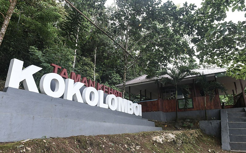Berdaya dan Mandiri dalam Kokolomboi Lestari - Bagian 6