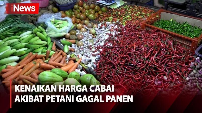 Kenaikan Harga Cabai di Jakarta Pusat Disebabkan Petani Gagal Panen