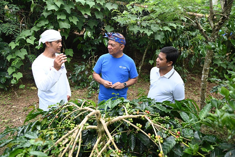 Kerja Sama Askrindo Dan PNM Tingkatkan Produksi Kopi Kintamani