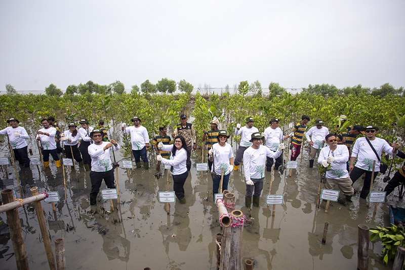 Pertamina EP dan SKK Migas Tanam Bibit Mangrove di Pesisir Cirebon - Bagian 1