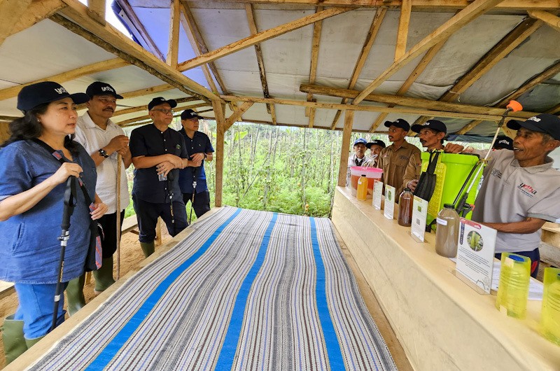 Astra melalui YDBA Kembangkan UMKM Pertanian di Puncak Dua Bogor - Bagian 2