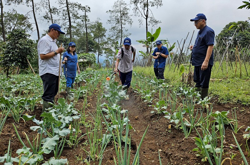 Astra melalui YDBA Kembangkan UMKM Pertanian di Puncak Dua Bogor - Bagian 1