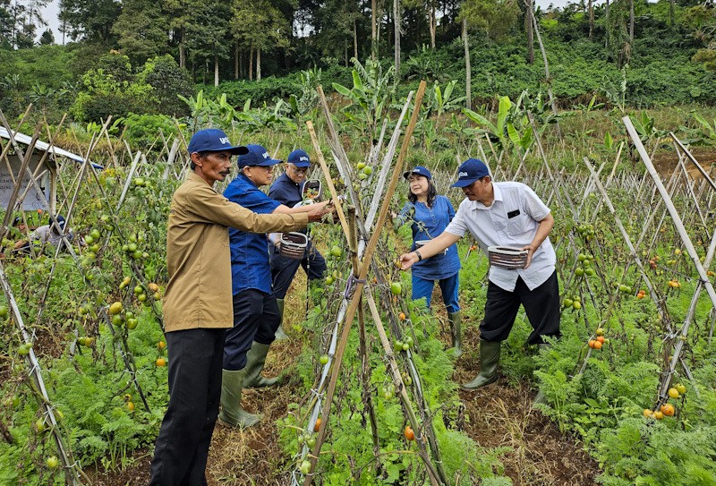Astra melalui YDBA Kembangkan UMKM Pertanian di Puncak Dua Bogor - Bagian 3