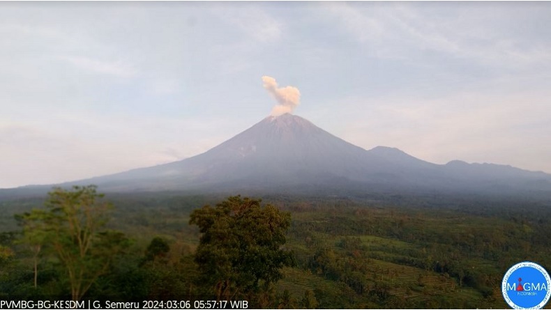 Erupsi Gunung Semeru Rabu Pagi Ini, Tinggi Letusan 800 Meter di Atas Puncak
