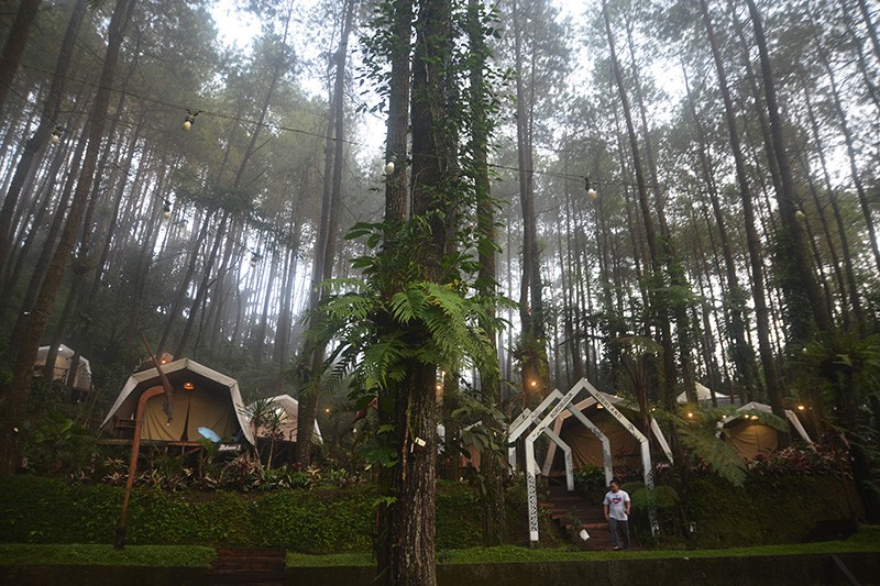 Glamping Menikmati Pesona Alam Hutan Pinus Purworejo di Ketinggian 850 Mdpl - Bagian 1