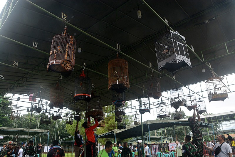 Serunya Lomba Kicau Burung di Markas Banteng Raiders - Bagian 3