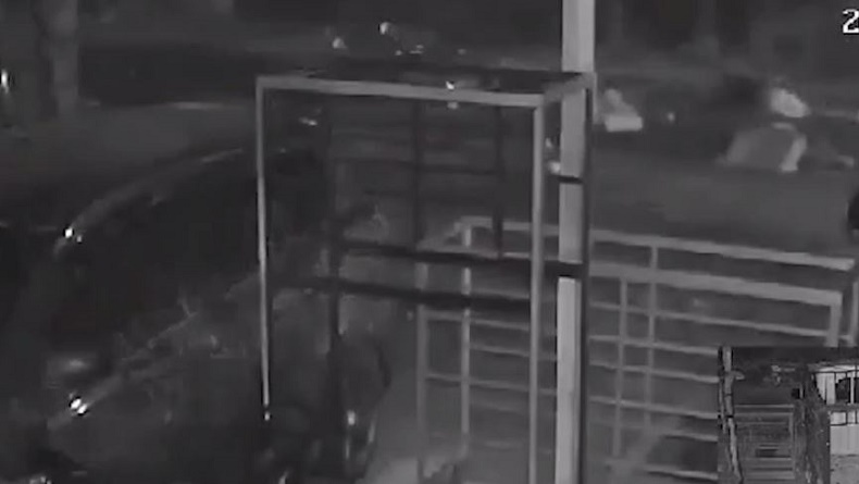 Kecelakaan Maut Terekam CCTV di Toraja Utara, 2 Motor Adu Kambing 3 Orang Tewas