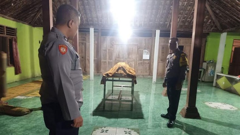 Ngeri, Warga Bantu Tewas Disengat Sekumpulan Tawon Gung