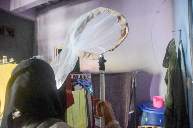 Berburu Nyamuk Aedes Aegypti di Rumah Warga Bulusan Semarang    - Bagian 2