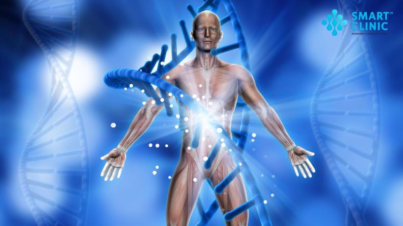 Masa Depan Cerah Terapi Stem Cell di Indonesia - Bagian 2