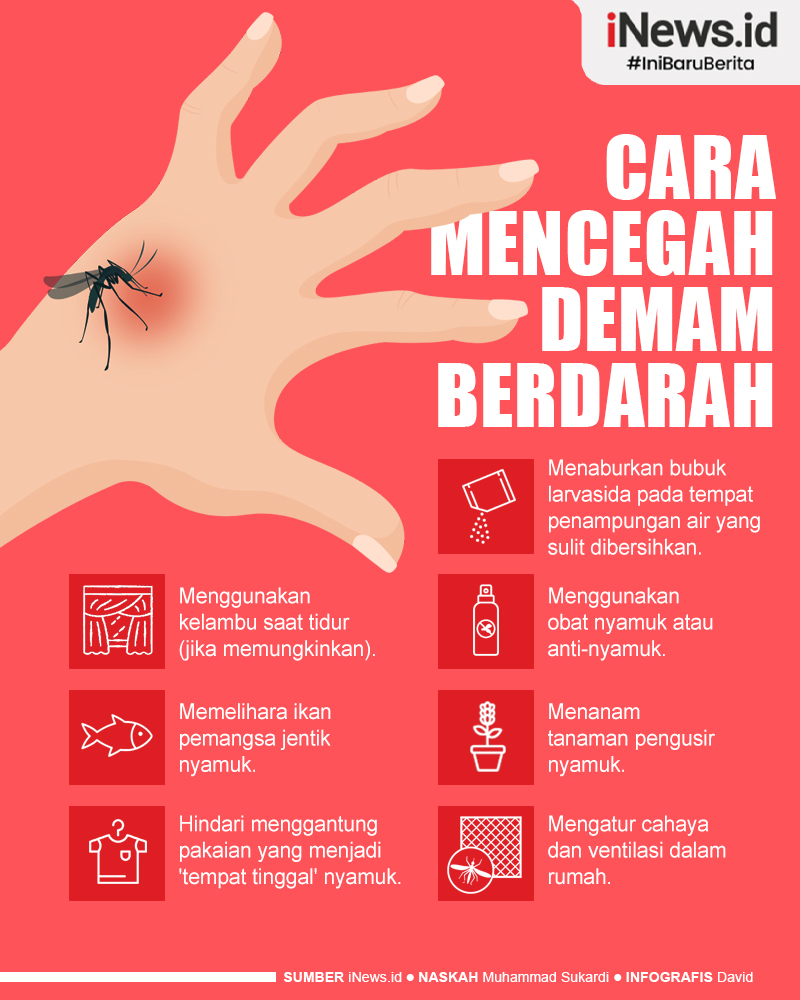 Infografis Kasus DBD di Indonesia Naik, Berikut Cara Mencegahnya