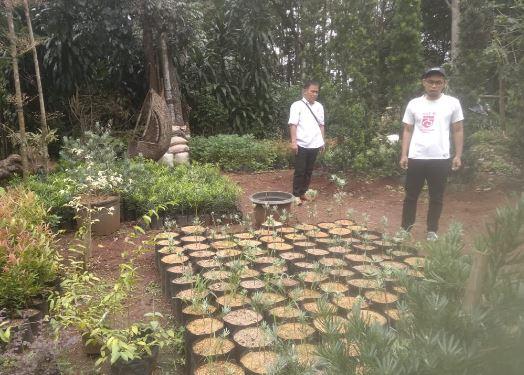 Kerek Ekonomi Warga, Tanaman Hias Desa BRILian Ini Tembus Pasar Luar Negeri