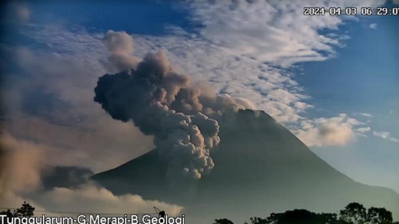 Gunung Merapi Kembali Erupsi Pagi Ini, Luncurkan Awan Panas Sejauh 1.300 Meter