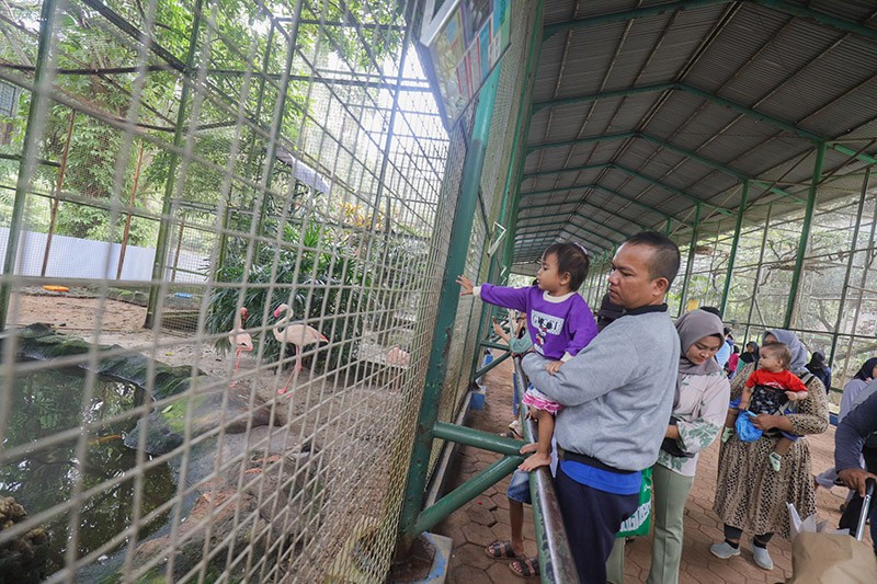 Taman Margasatwa Ragunan Ramai saat Libur Hari Kedua Lebaran 2024 - Bagian 3