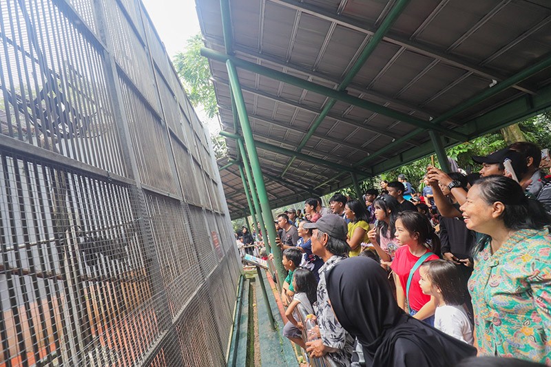 Taman Margasatwa Ragunan Ramai saat Libur Hari Kedua Lebaran 2024 - Bagian 2