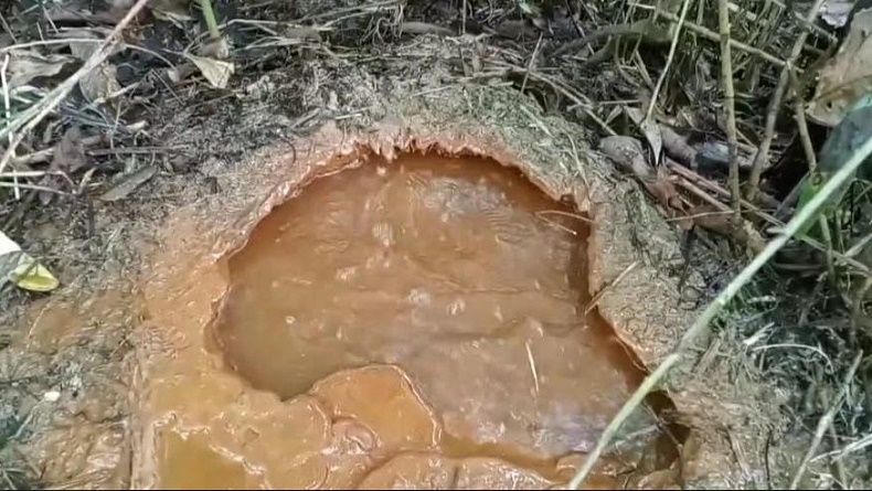 Merangin Heboh Kemunculan 2 Sumber Air Panas Muncul dari Tanah