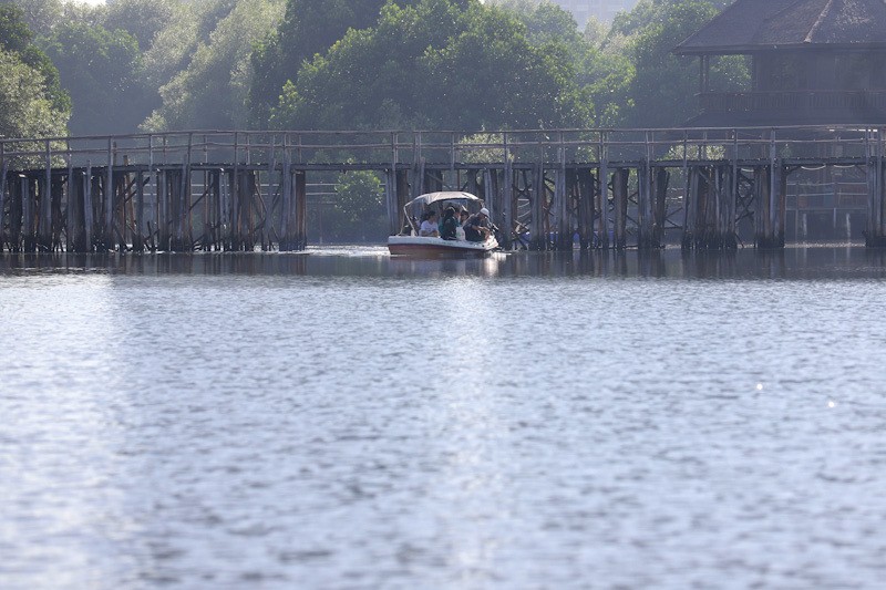 Mengunjungi Taman Wisata Alam Mangrove Angke Kapuk - Bagian 3