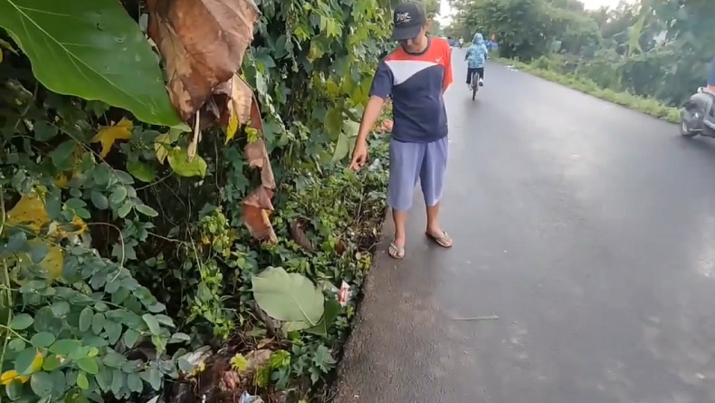 title Bayi Ditemukan di Pinggir Jalan Maros, Kondisi Mengenaskan di Dalam Kardus Dikerumuni Semut Bayi Ditemukan di Pinggir Jalan Maros, Kondisi Mengenaskan di Dalam Kardus Dikerumuni Semut