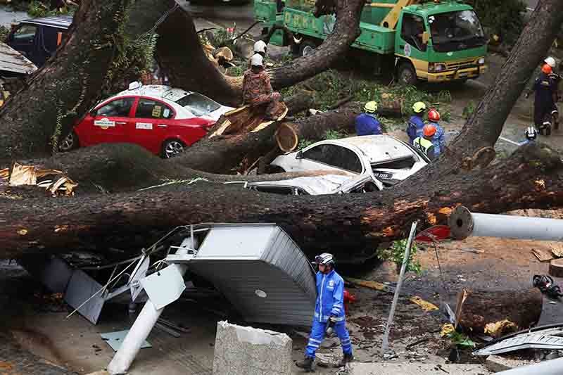 17 Mobil Tertimpa Pohon Tumbang di Kuala Lumpur, Tim SAR Evakuasi Korban Terjebak - Bagian 1