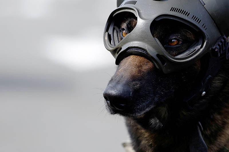 Serangan Kilat Pasukan Elite Prancis GIGN Lumpuhkan Teroris - Bagian 6