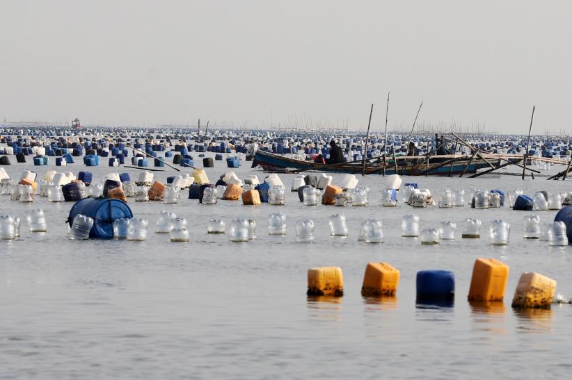 Ekosistem Laut Teluk Jakarta Terancam gegara Bagan Tancap Menjamur di Perairan Dadap - Bagian 5