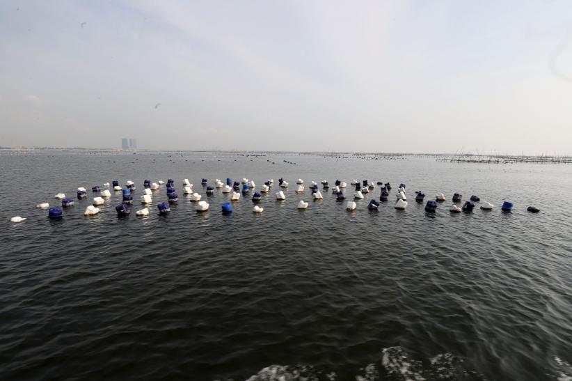 Ekosistem Laut Teluk Jakarta Terancam gegara Bagan Tancap Menjamur di Perairan Dadap - Bagian 2