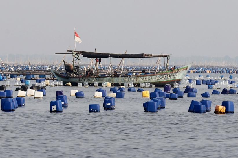 Ekosistem Laut Teluk Jakarta Terancam gegara Bagan Tancap Menjamur di Perairan Dadap - Bagian 3
