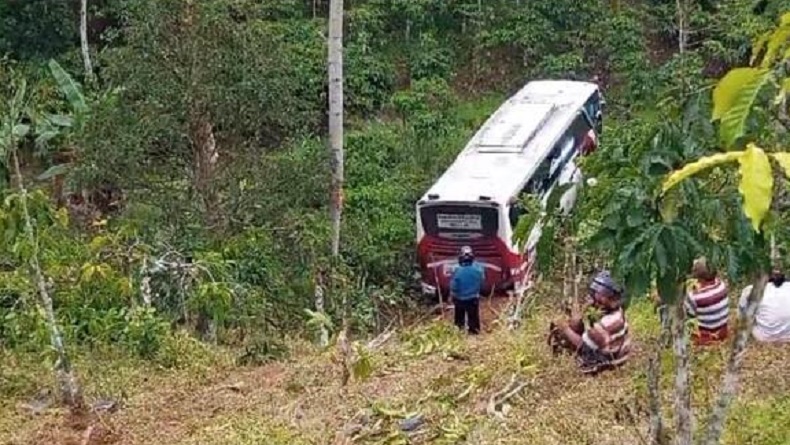 title Pandangan Terhalang Kabut, Bus Mercy Golden Dragon Terjun ke Jurang di Lampung Barat Pandangan Terhalang Kabut, Bus Mercy Golden Dragon Terjun ke Jurang di Lampung Barat