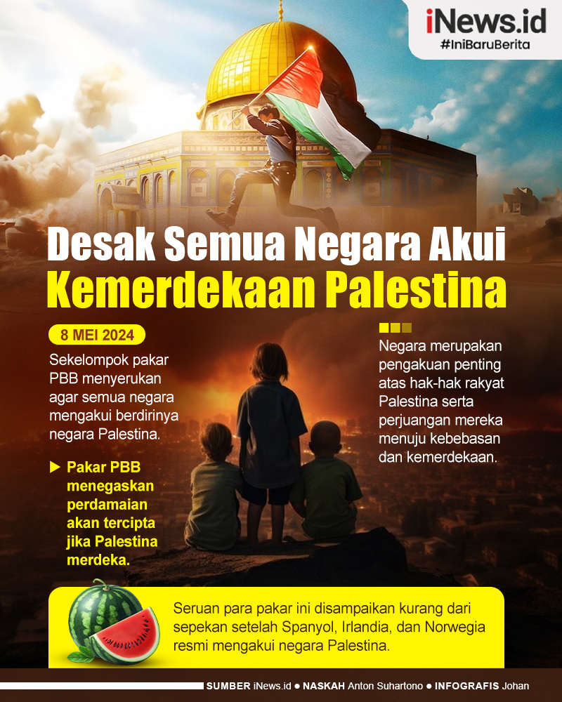 Infografis Para Pakar PBB Desak Semua Negara Akui Kemerdekaan Palestina